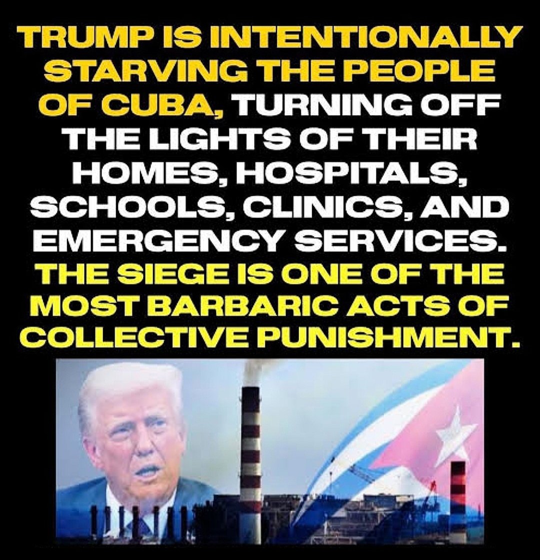 ⚘️Carina tweet media