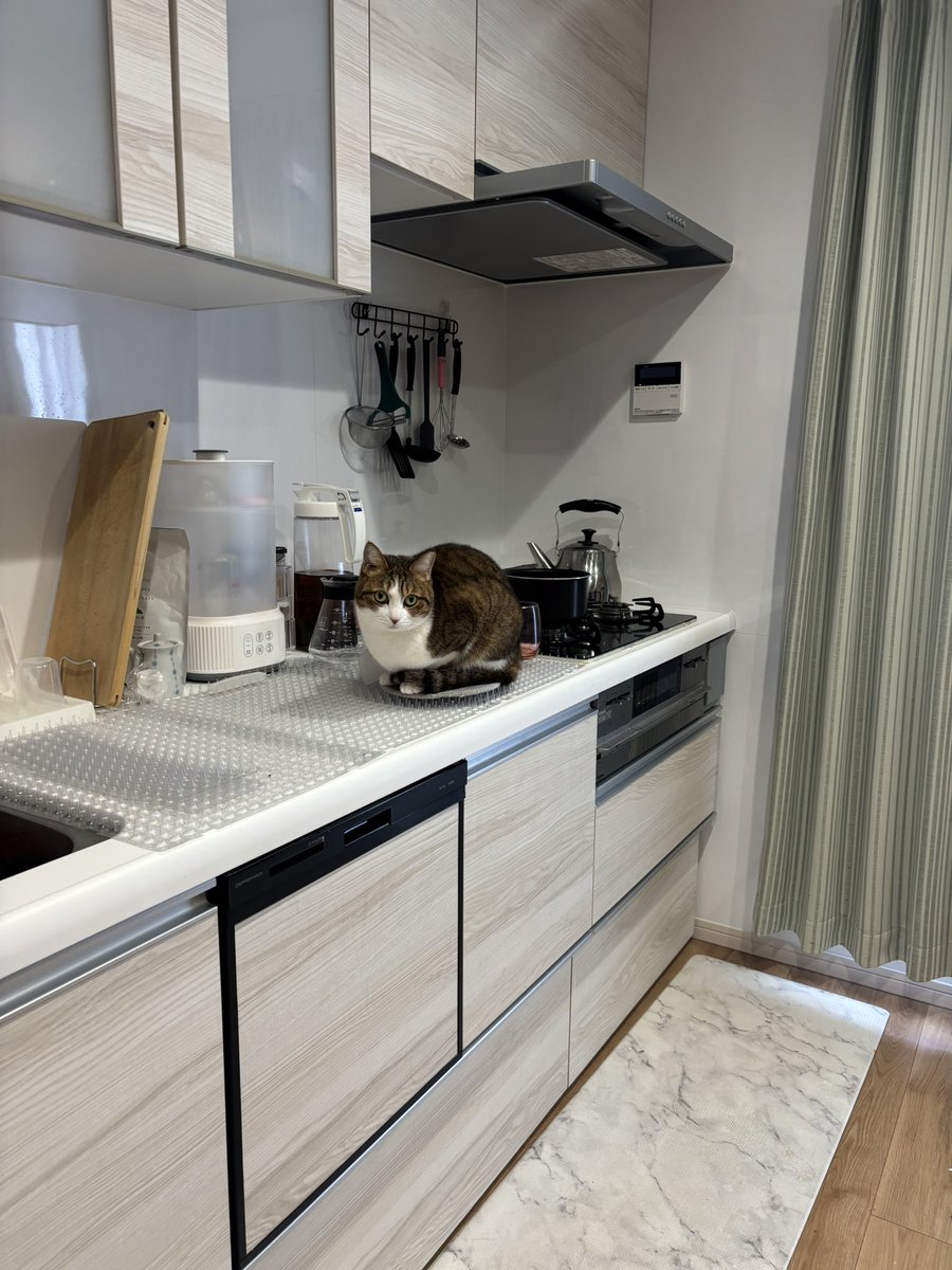 友禅師 水野可菜/名古屋の小さな友禅屋さん tweet media