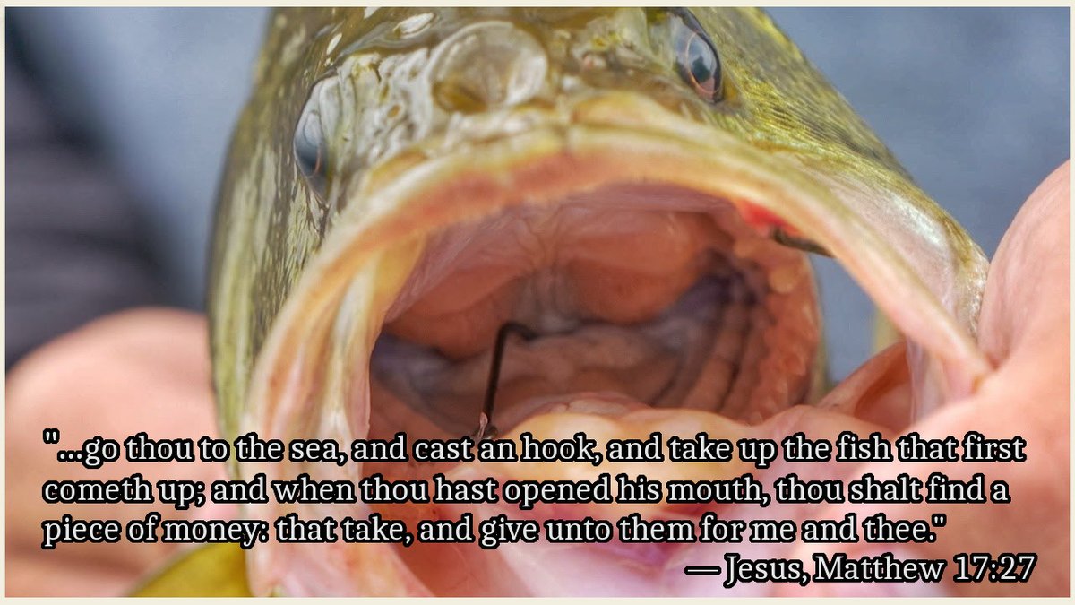 F0URLIGHTS tweet media