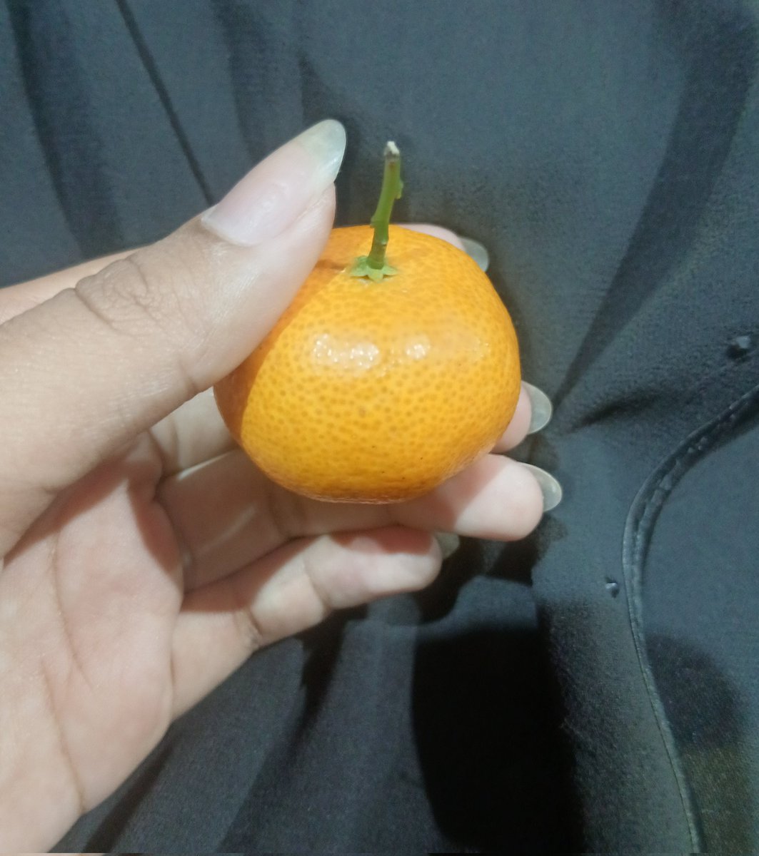 Leve`||🫧open jastip link shopee , @ after dm tweet media