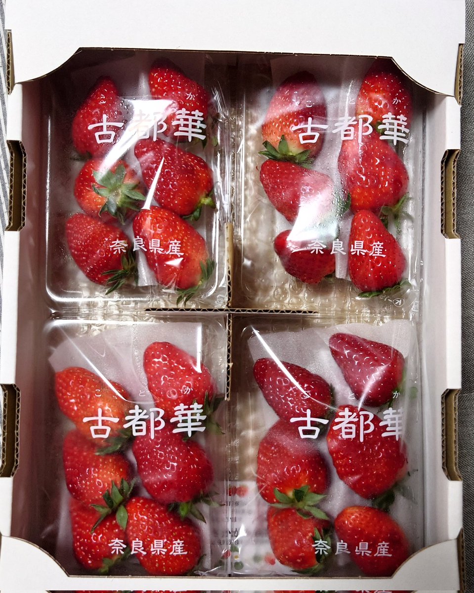 ume🦆🌷around40+サポ隊 tweet media