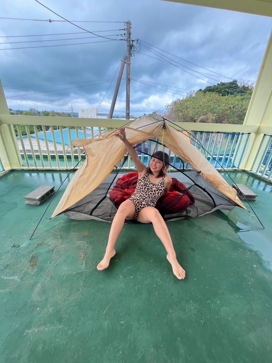 🌟アラレ王🌟 tweet media