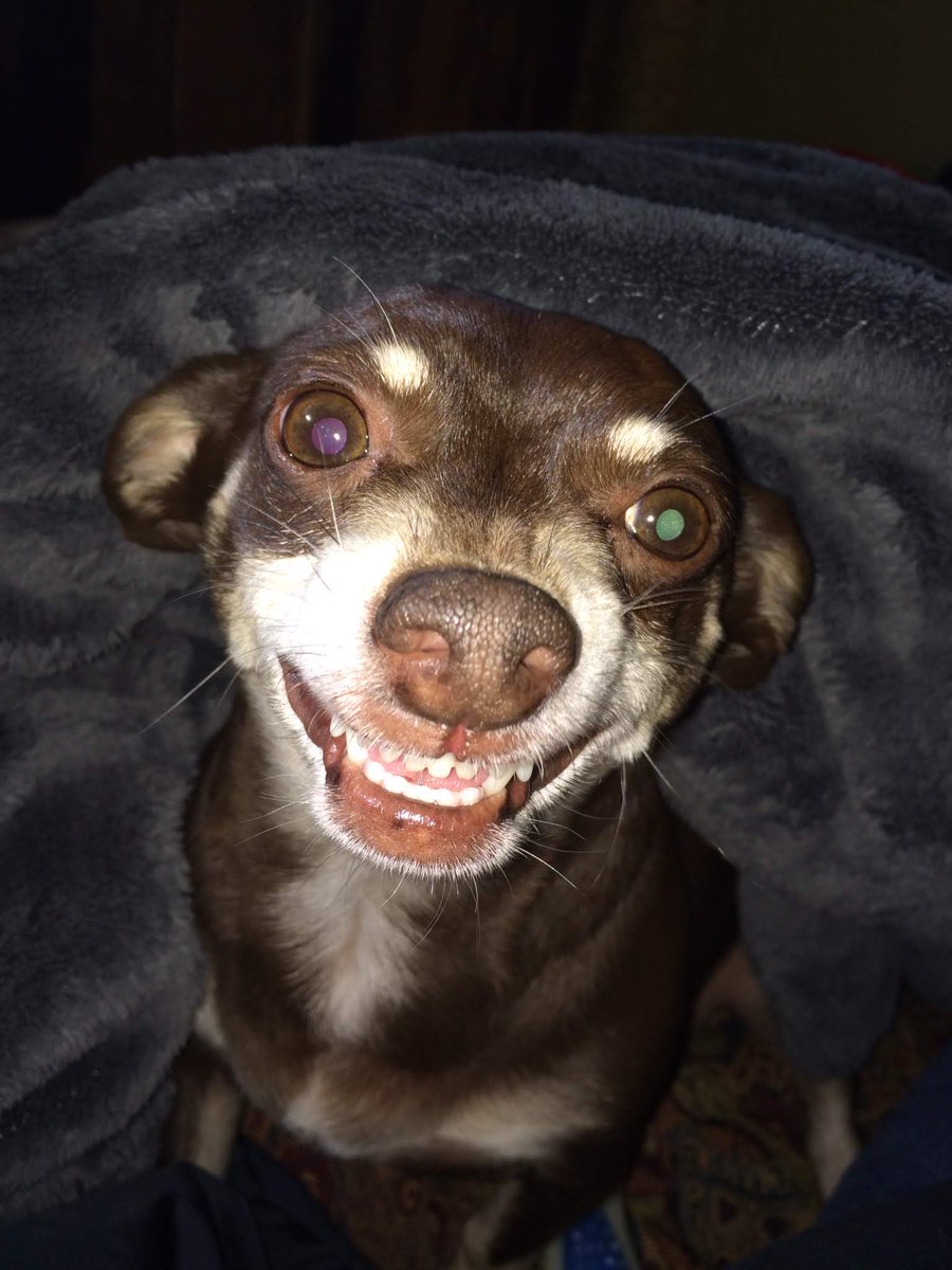 KAT. ❤️🌹❤️🌹❤️🌹 tweet media