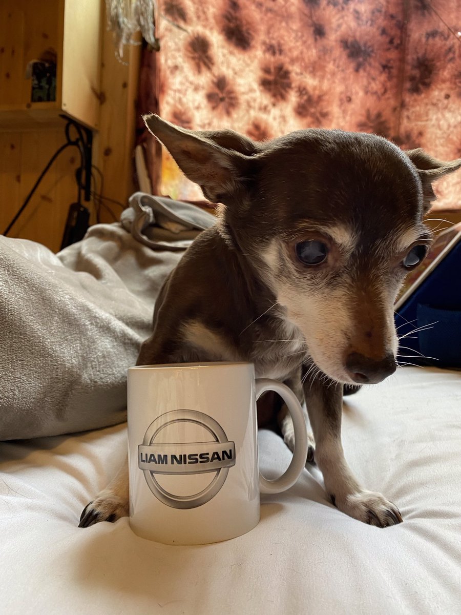 KAT. ❤️🌹❤️🌹❤️🌹 tweet media