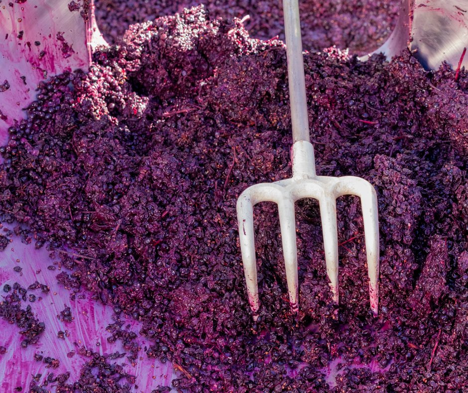 twohandswine's tweet photo. Stained hands, squished skins, shades of Shiraz and stunning vintage scenes 🍇 https://t.co/7hpUYT7KDJ