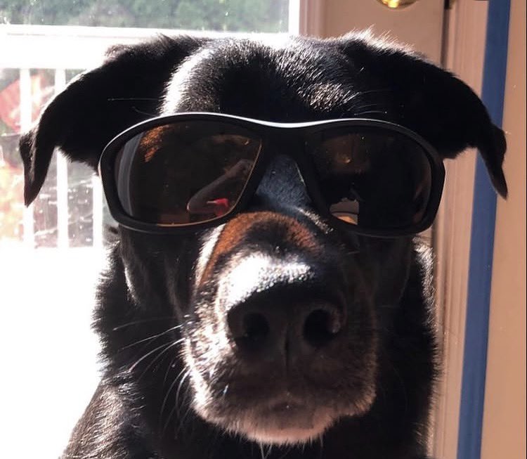 Robert Alvarez tweet media