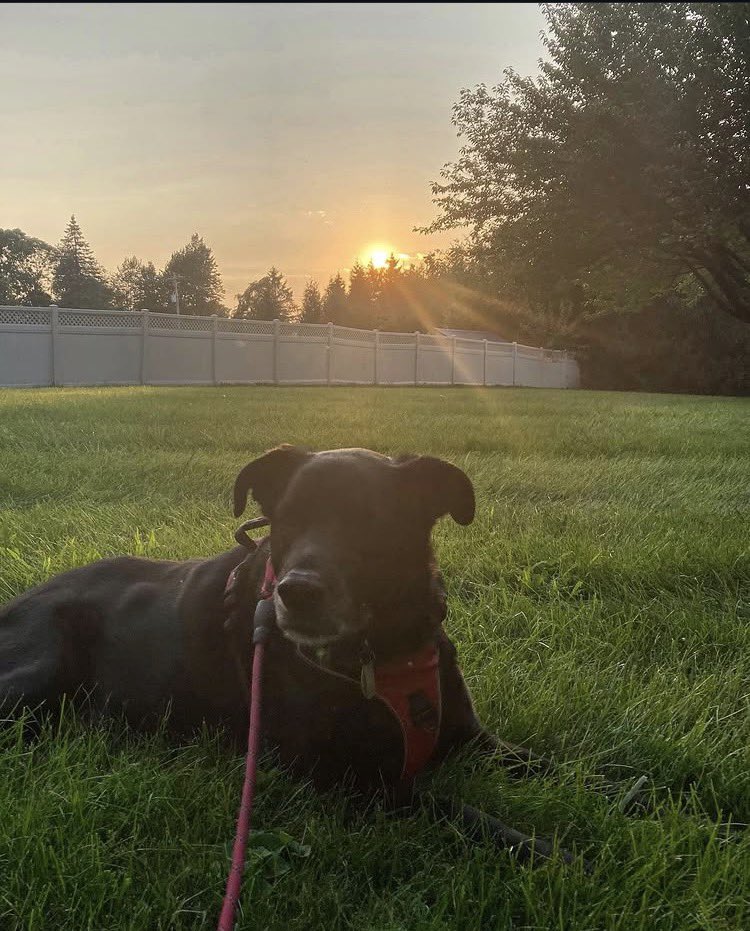 Robert Alvarez tweet media