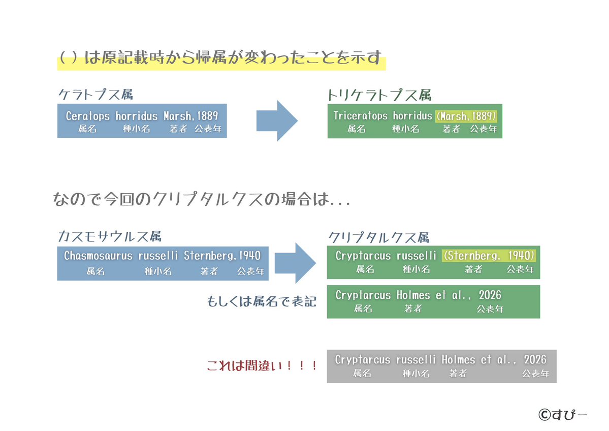 k.dino spino tweet media
