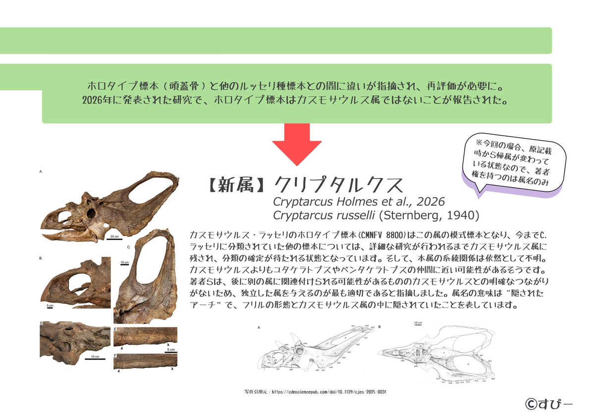 k.dino spino tweet media