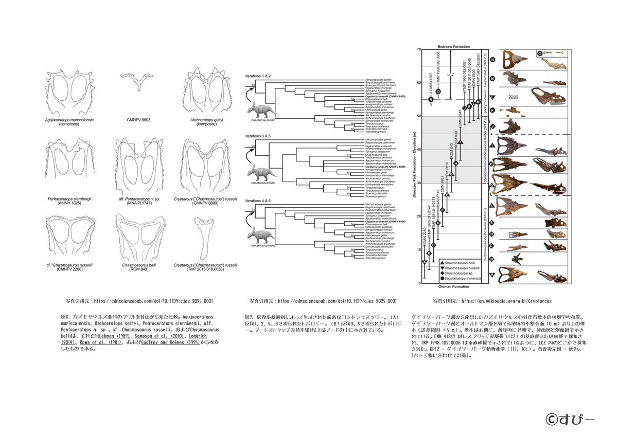 k.dino spino tweet media