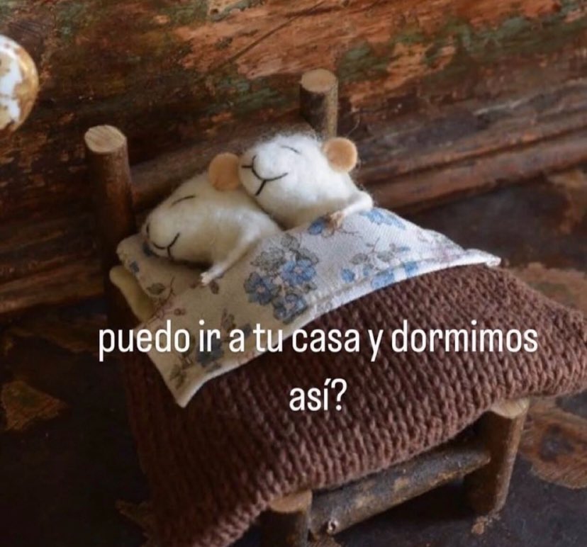 Luis Eduardo V. tweet media