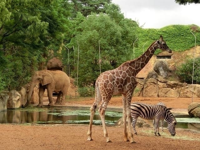 まっぷる編集部【公式】 tweet media