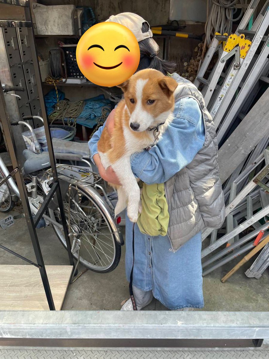 なずな🐶 tweet media