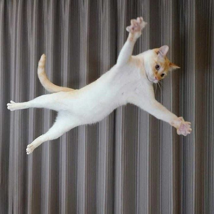 챰 ☘︎ tweet media