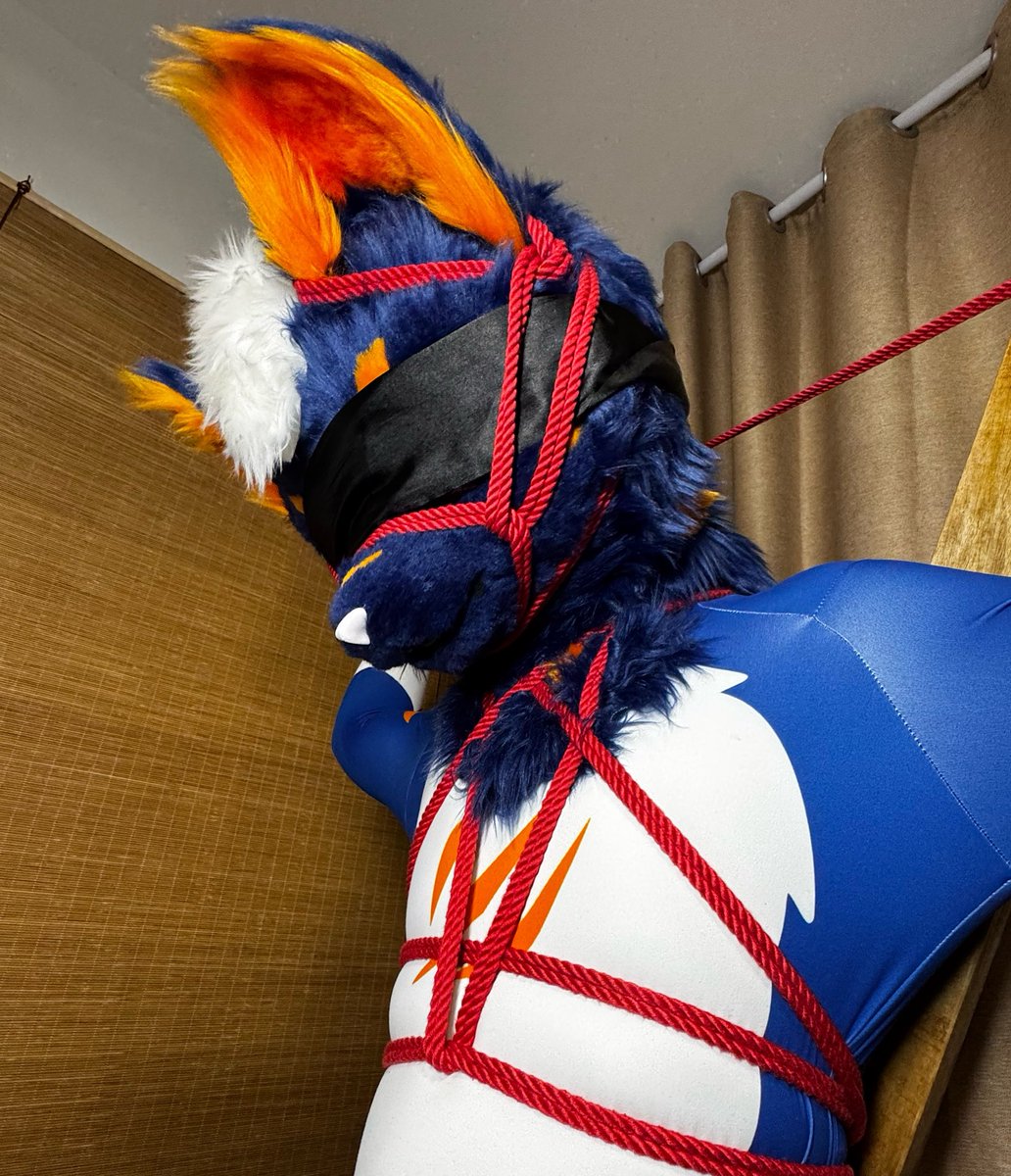 Milo闵乐 tweet media