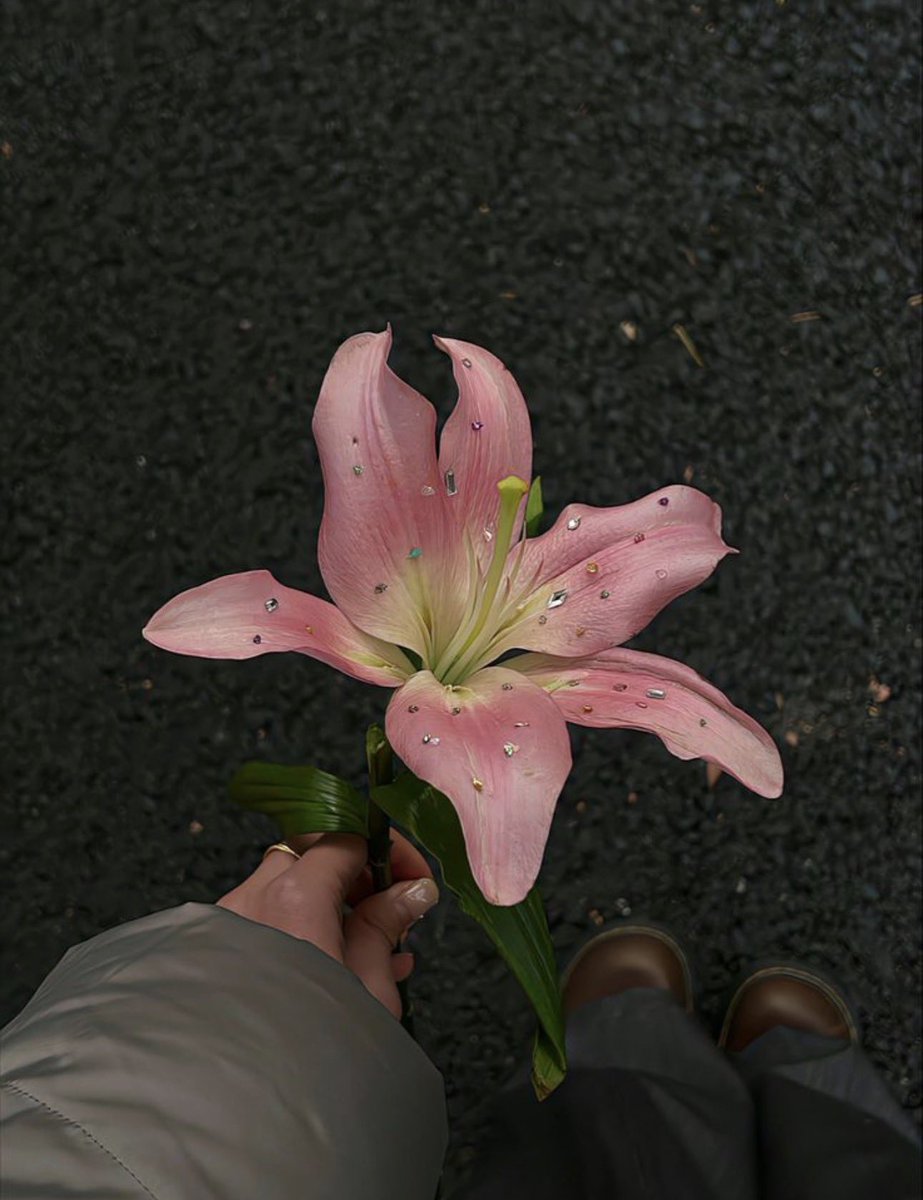 🌸 (@guloona_der) on Twitter photo 