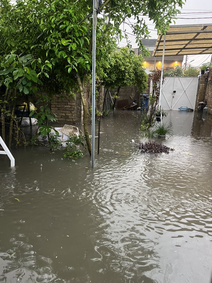 حبحب tweet media