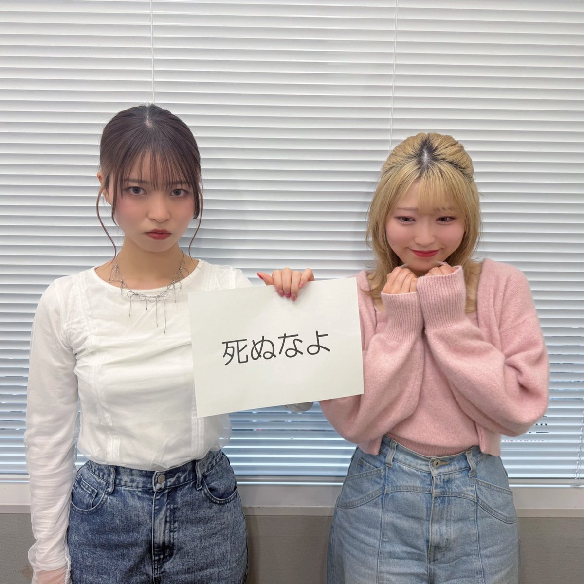 EverdreaM Official tweet media