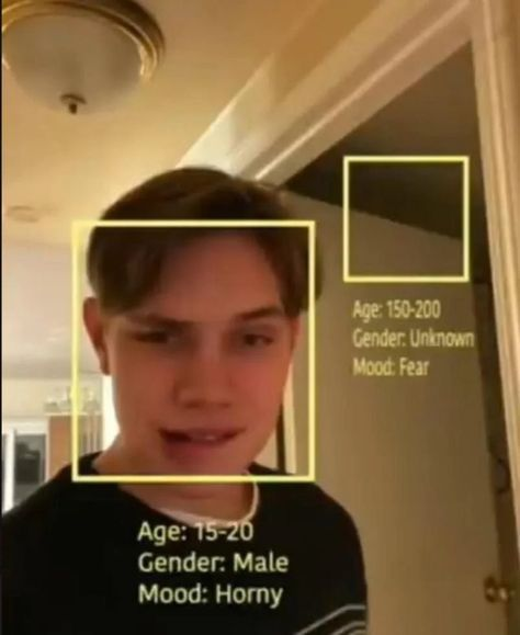 /ᐠ𝕔𝕒𝕥𝕥マ tweet media