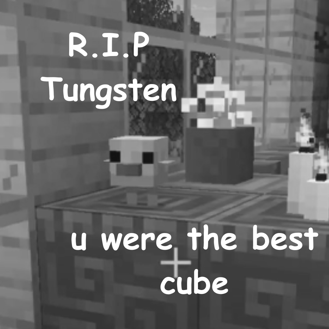 Bo Barley ✨🎀 tweet media