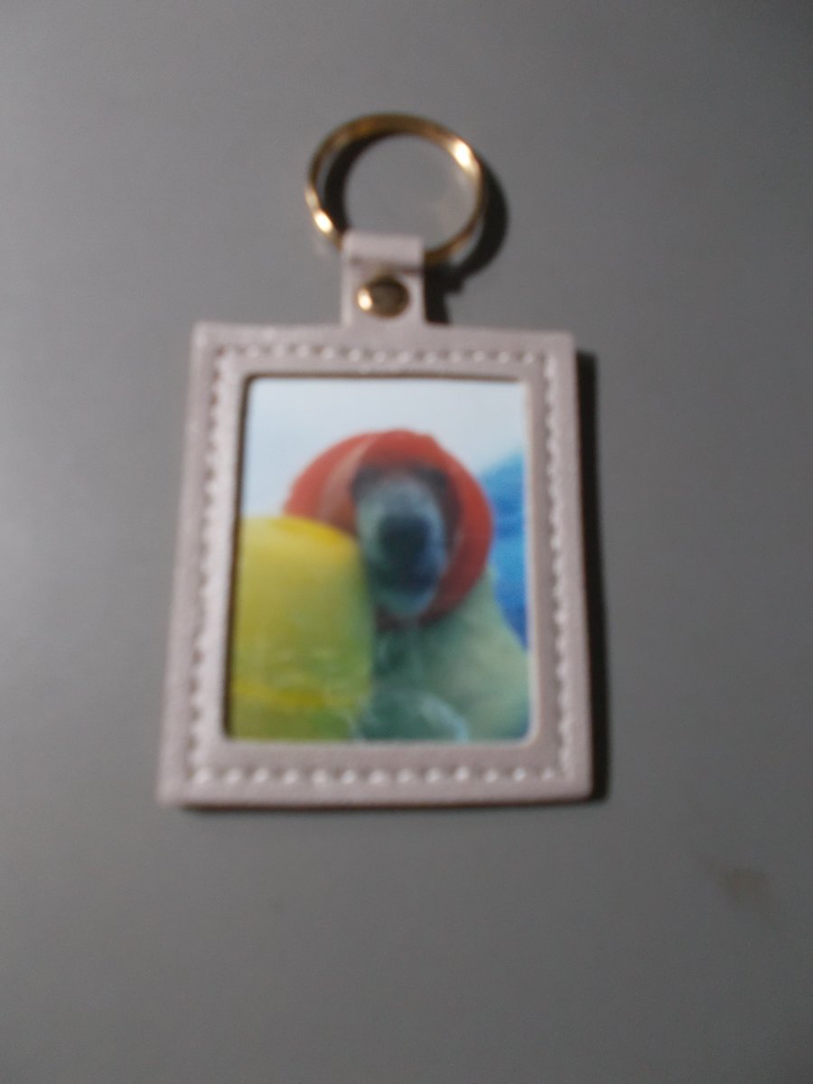 ランサー tweet media