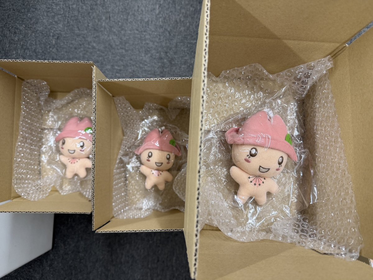 株式会社エフェックス【公式】 tweet media