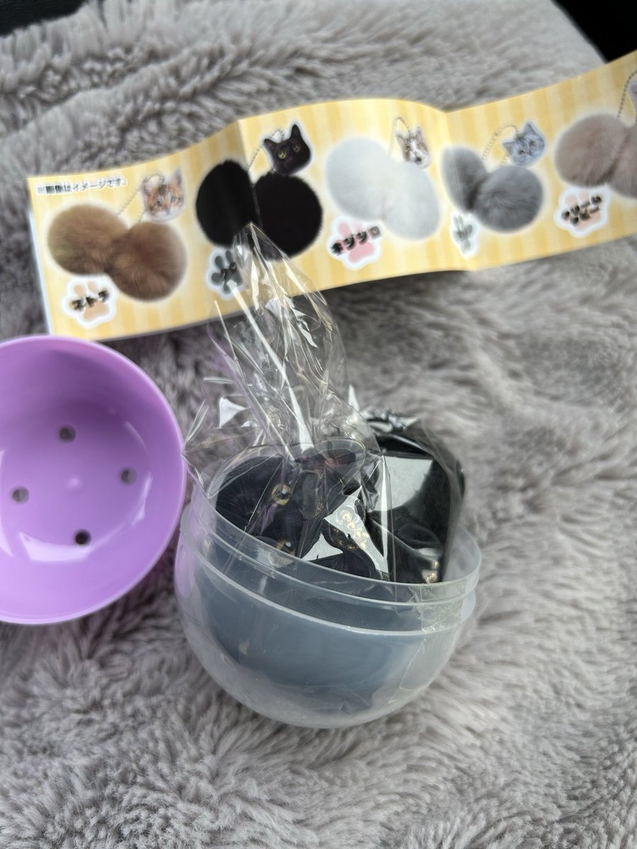 白猫れもん tweet media