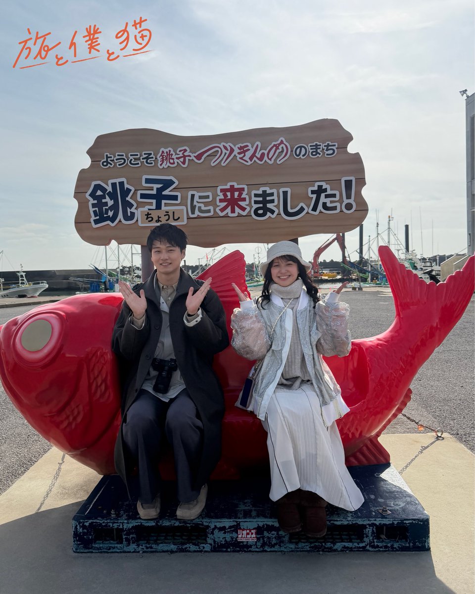 ドラマ『旅と僕と猫』【テレ東公式】🐈 tweet media