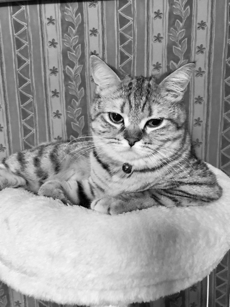 小路幸也 tweet media