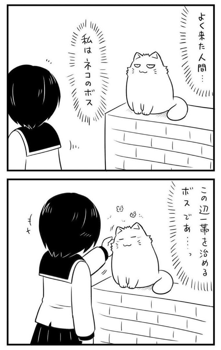 ネコのボス現る(1/2) 