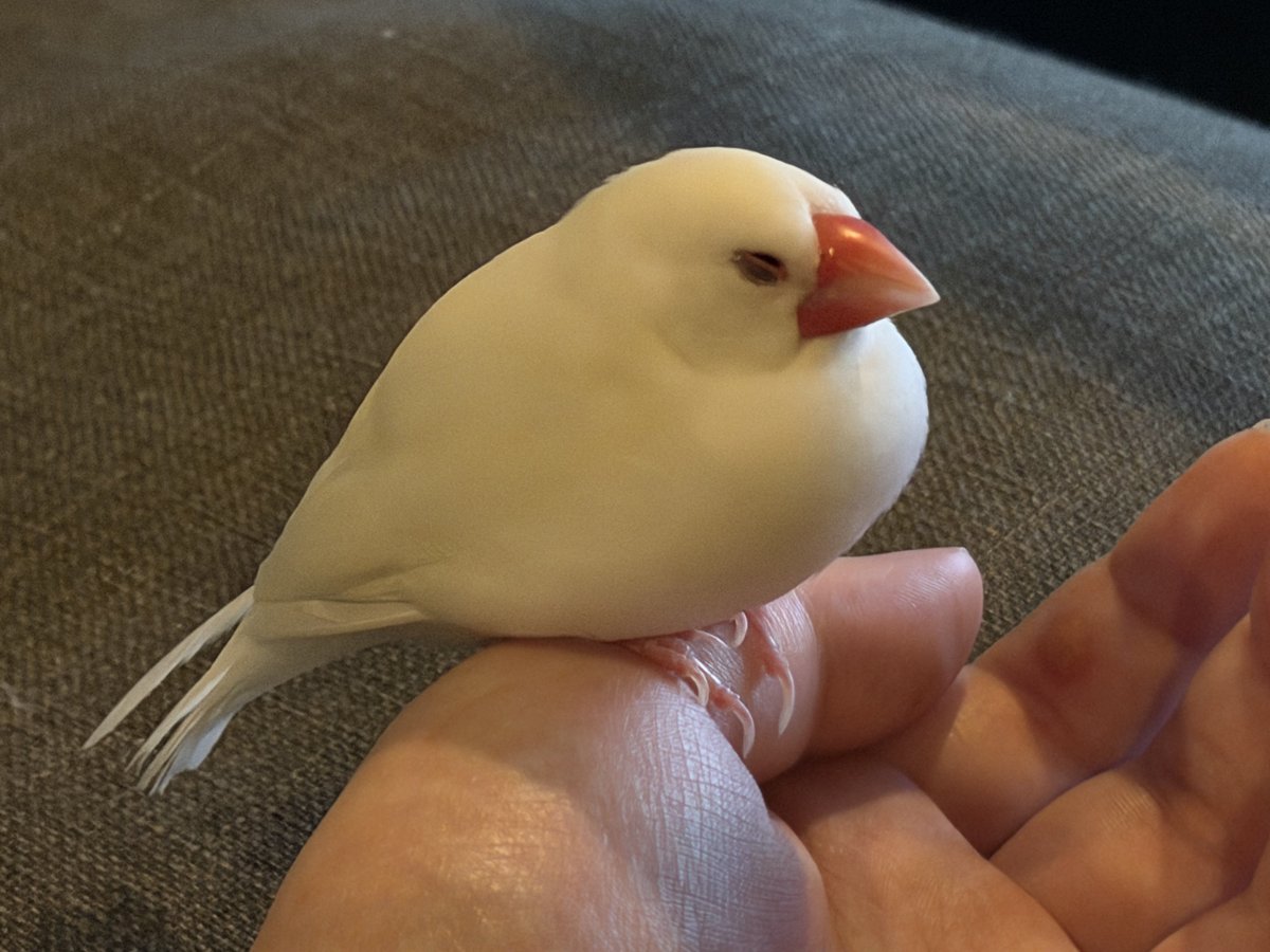 riki8492 tweet media