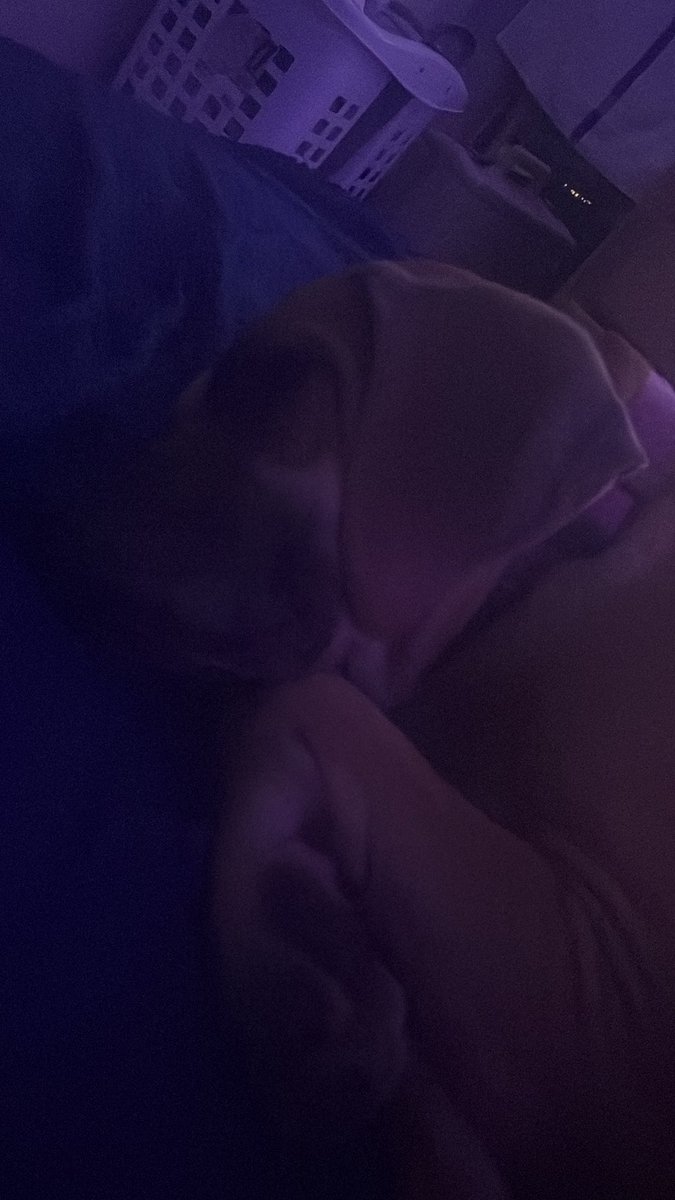 Colton🐾✝️ tweet media