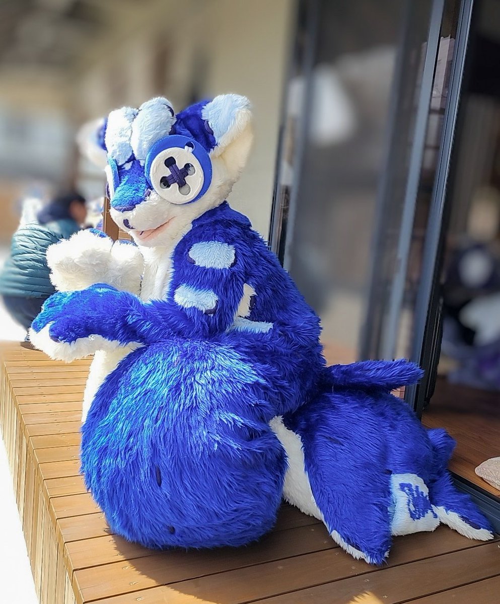 こぐ🐾JMOF tweet media