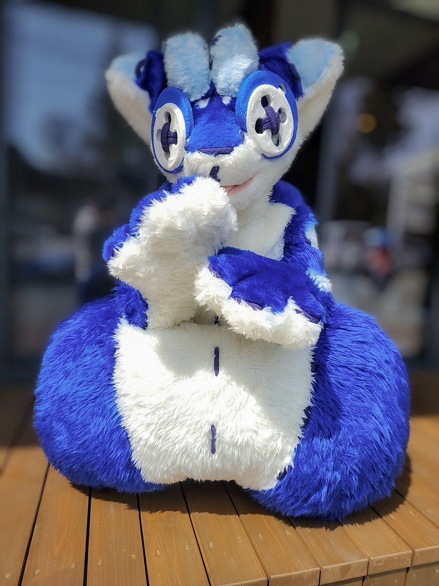 こぐ🐾JMOF tweet media