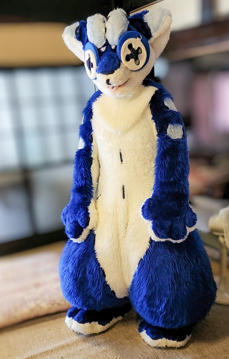 こぐ🐾JMOF tweet media