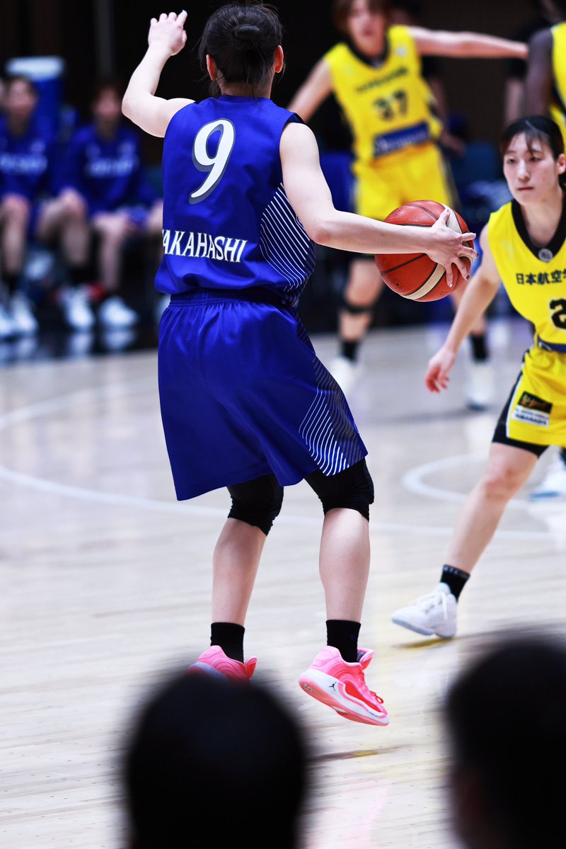 一匹猫 📸 tweet media