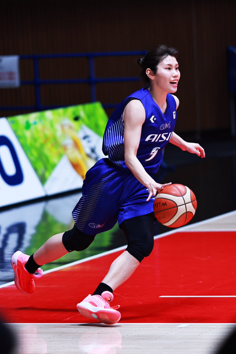 一匹猫 📸 tweet media