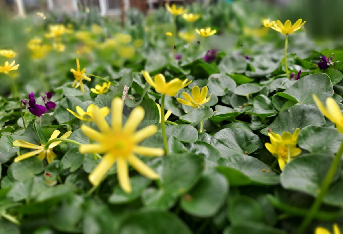 Mayko Ks. 🌞📸🇬🇪🇺🇦🇪🇺 tweet media