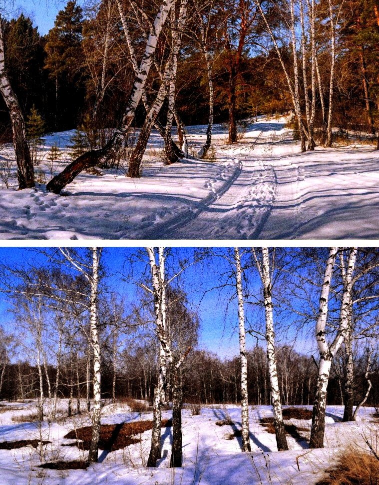 Сергей Лесник tweet media