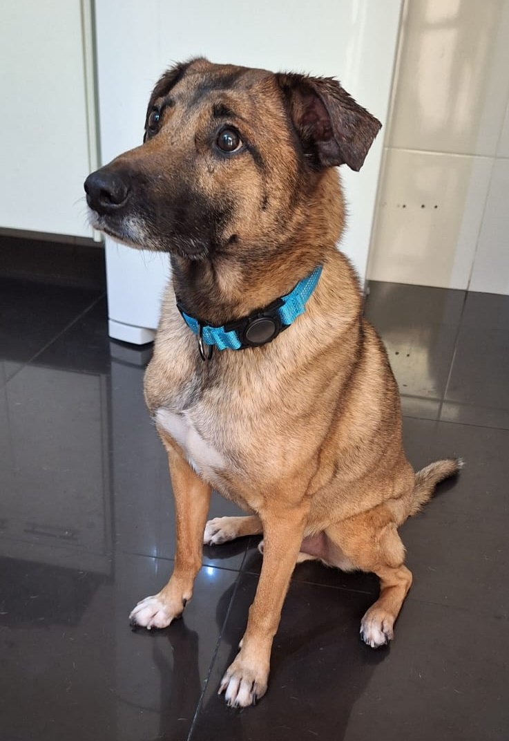 claudia 🥀 tweet media