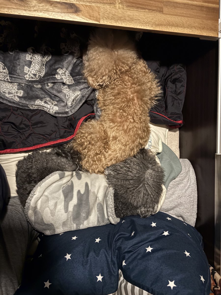 NaRi_Style tweet media