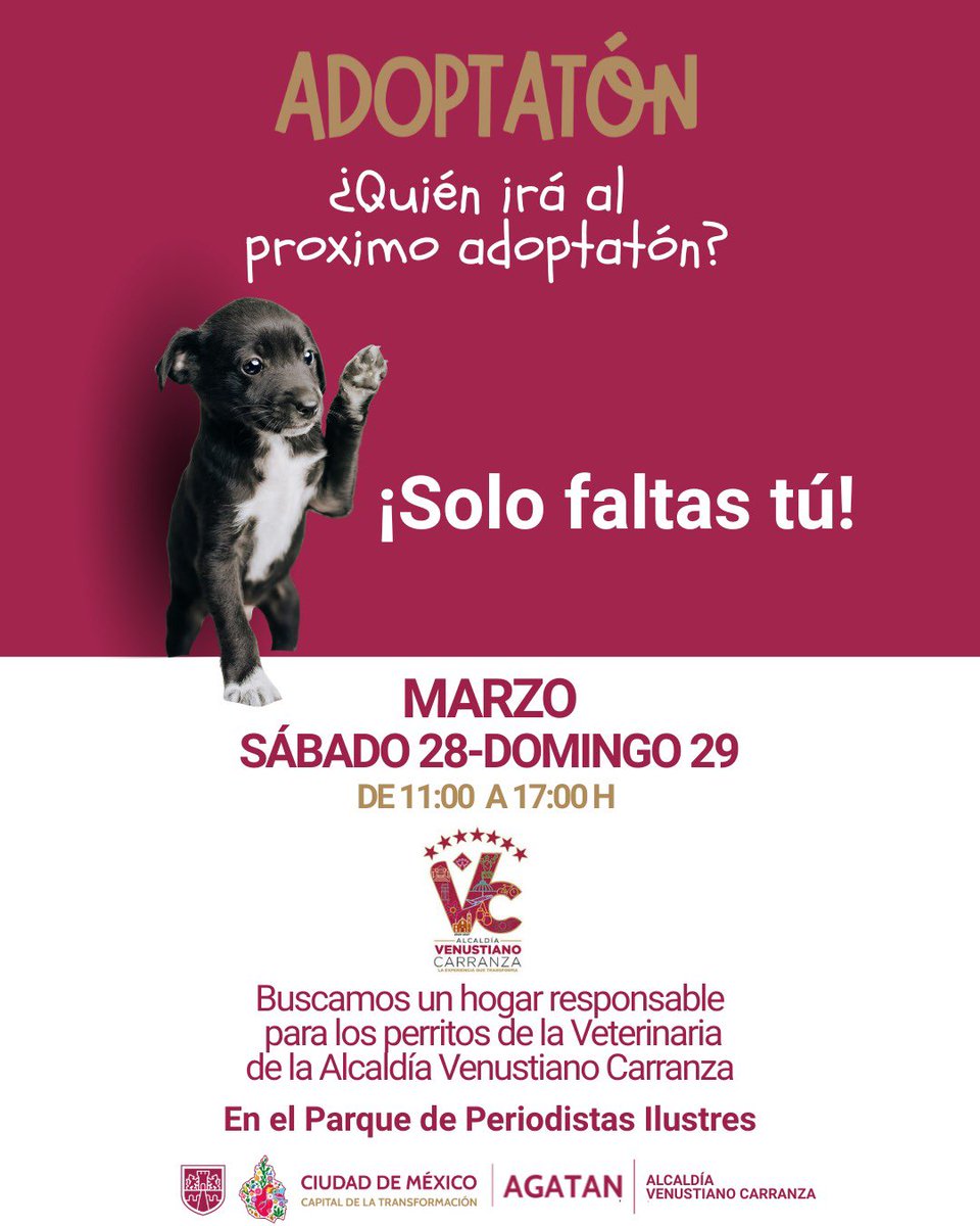 Agencia de Atención Animal tweet media