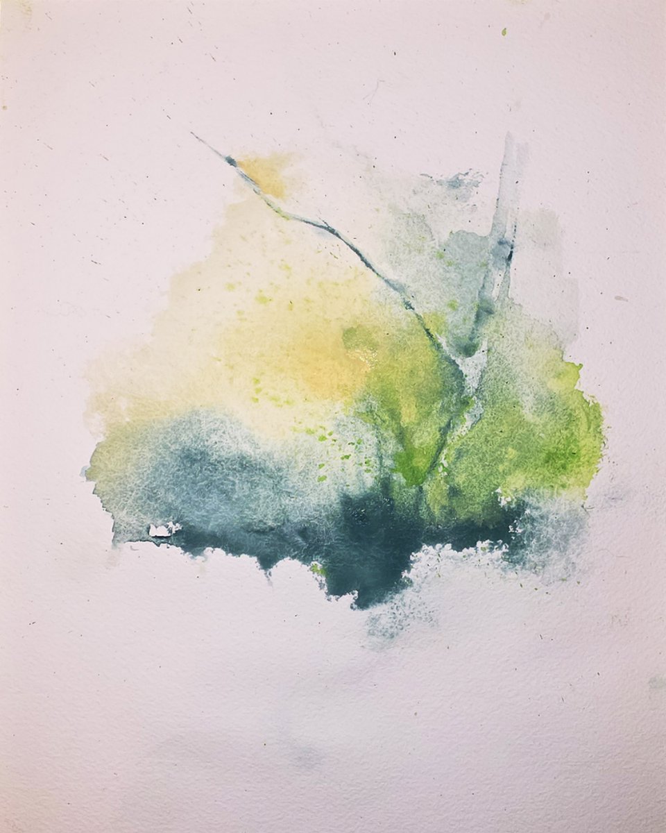 Curio Bloom tweet media