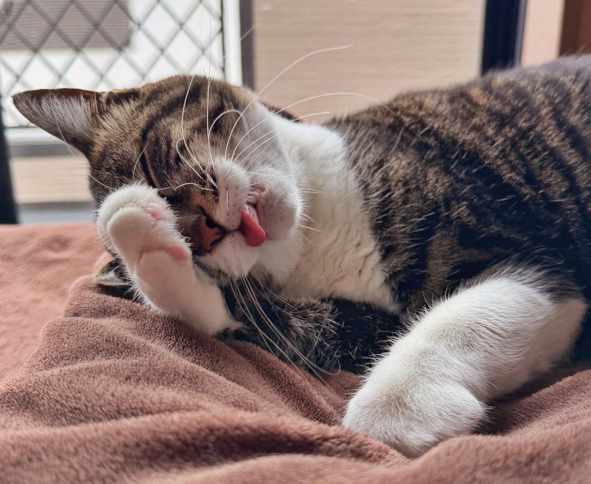 縦横幅 tweet media