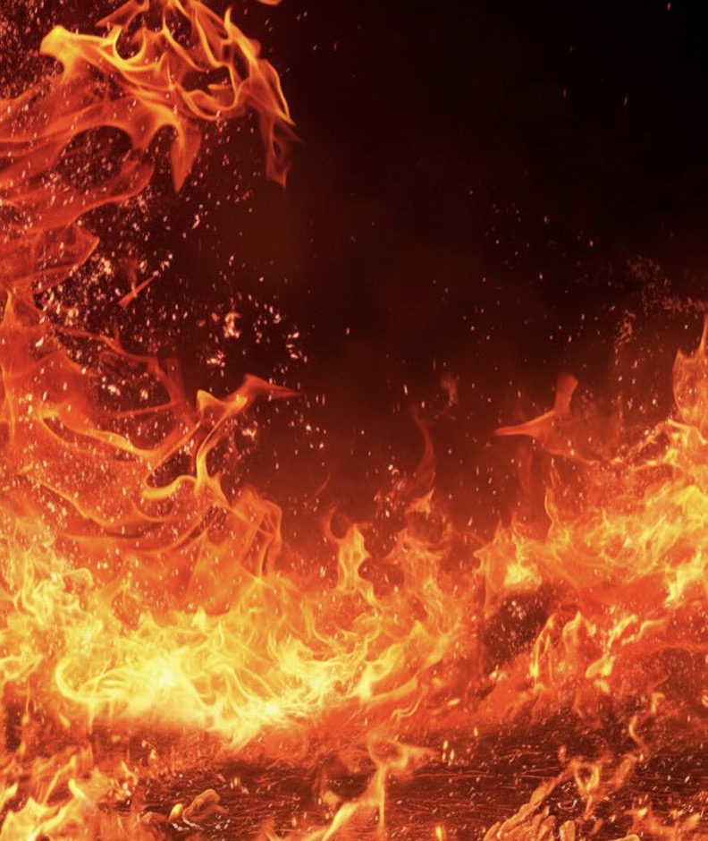 スマイルくん(Smile) tweet media