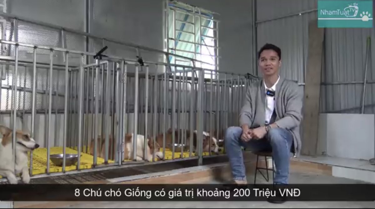 Nguyễn Nhật Tây | Danien tweet media