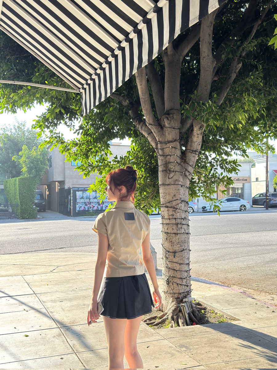 catching the last bit of the afternoon sun. everything feels a little more gold here. 🎞️ ☀️ ⏳