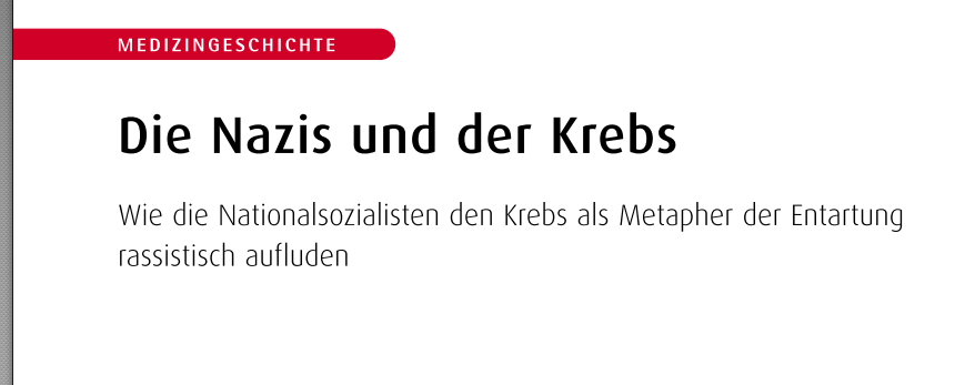 Hauptstadtbeamte (Gewürzmischungsverkäuferin) 🔥🤡 tweet media