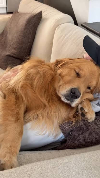 Hawkeye / Clint Barton tweet media