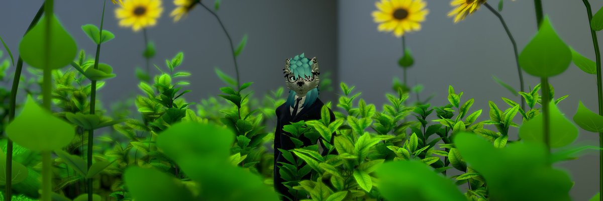 Lukah➡️FWA 2026 tweet media